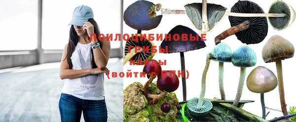 первитин Алексеевка