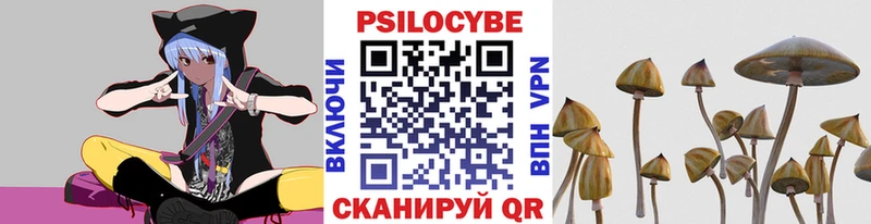 Псилоцибиновые грибы Psilocybe  Тихвин 